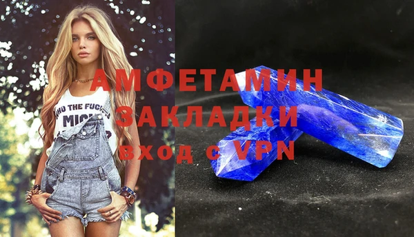 гашик Новозыбков