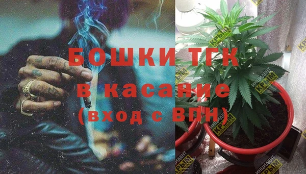 гашик Новозыбков