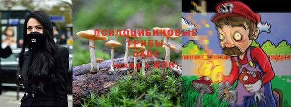 не бодяженный Алексин