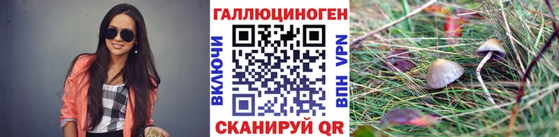 Псилоцибиновые грибы GOLDEN TEACHER  мега как войти  Мосальск 